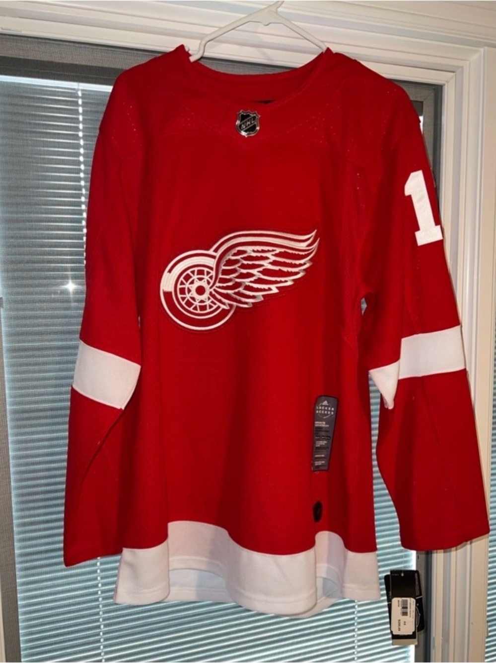 Men’s Detroit Red Wings Hockey Jersey - AUTOGRAPHED